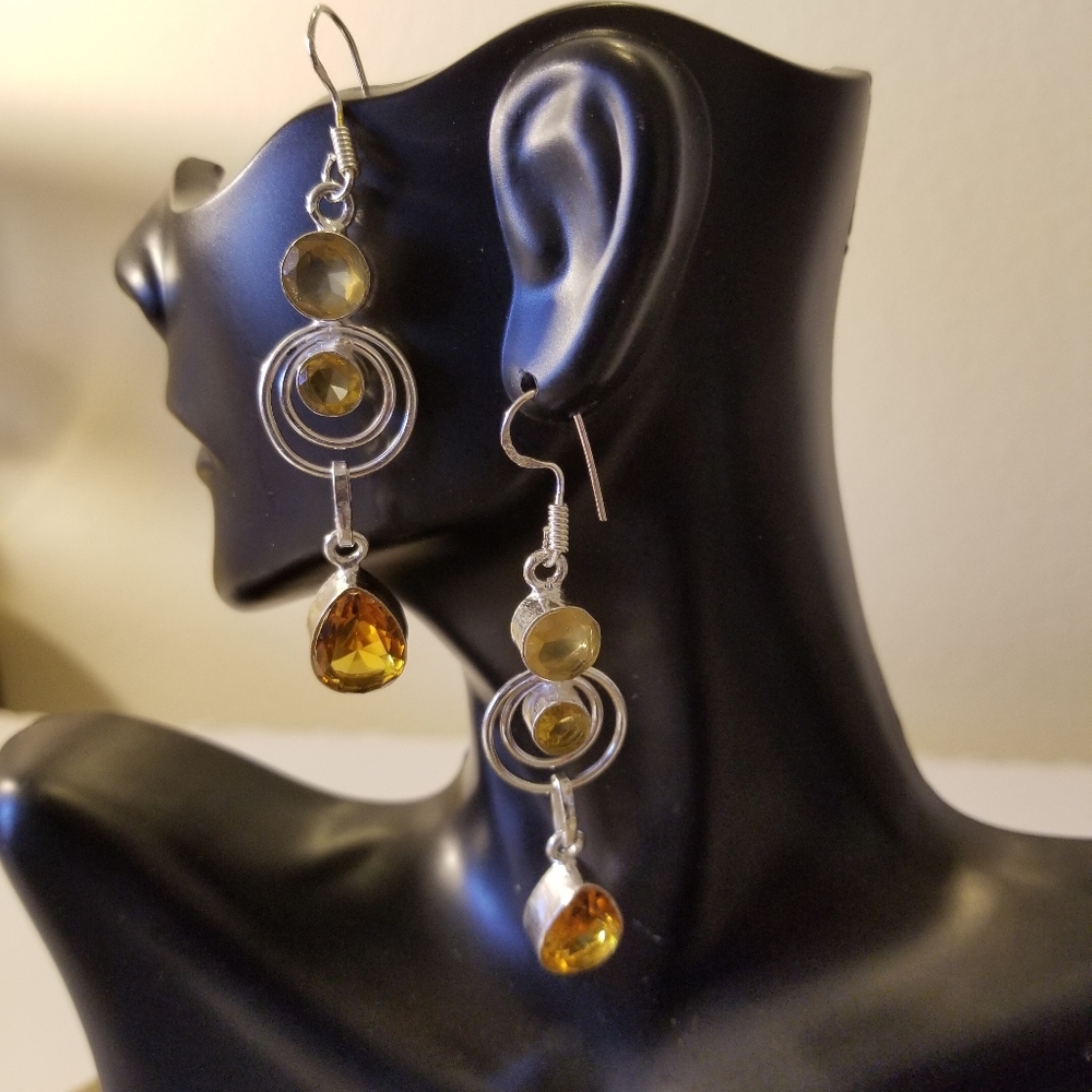 Attractive Earrings Nwot